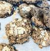 Fladmaveboller med quinoa og hytteost